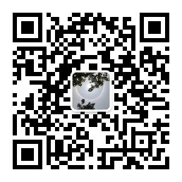 老愚寻光杂记公众号二维码